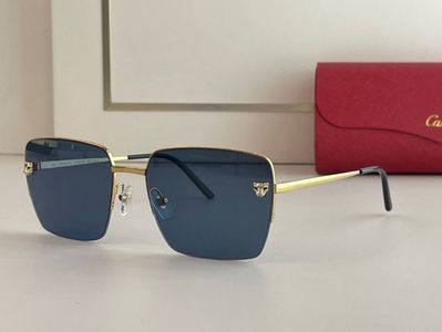 Cartier Sunglasses 865